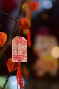 Trung tâm giải trí